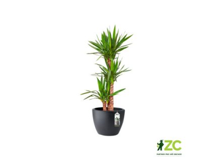 2ec462ea ce13 43ee a7d8 f7ec646d4b17