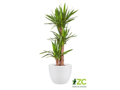 ae61adae 09fc 4949 8f06 00cd72d6b4a2