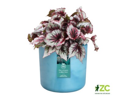 f39230ac 9242 4446 ae07 4f6a94fae459