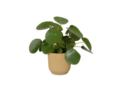 cfbcfc50 d376 430a 8027 77217d65c562