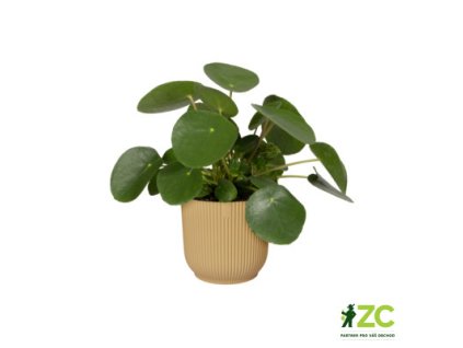 bda64436 fad5 495e 8238 51d7d1167587