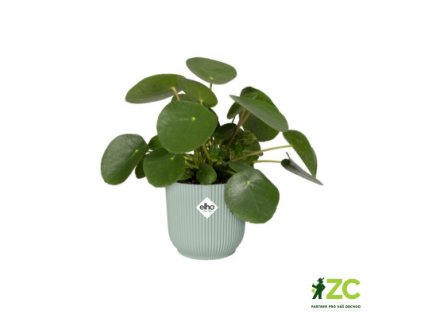 93b6a093 fa66 4cb8 84e8 7f1ce015febd