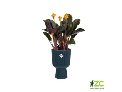 ce48c1bb fb1d 4f03 80d4 76c90a9b0053