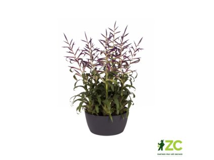 8d7c0338 0f21 4b92 aeb1 f532da461371