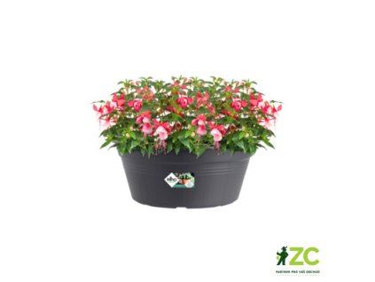 8dcfbf22 1677 4a2f 9b01 5dfe9b2a2019