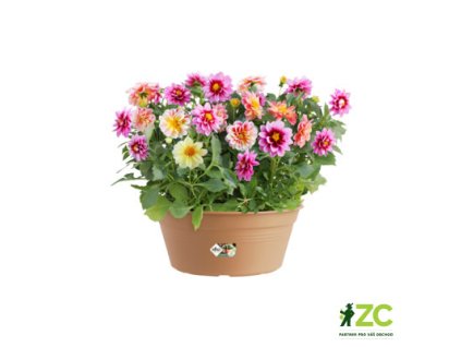 a2e7d050 39c3 4bc6 88cd c32583679071