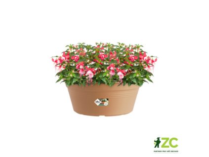 0a021aa2 0fc9 44af 8553 bd448653b3c5