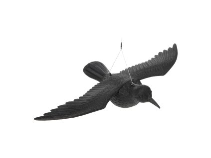 havran maketa na plašení 44x61x13cm