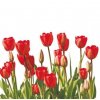 Hafyso Taška PE ucho 44 x 47 cm EXTRA - tulipány