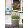 Květináč samozavlažovací Berberis velkoobjemový - taupe + sl. kost 55 cm