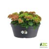 Žardina Green Basics Bowl - living black 33 cm