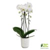 Obal Vibes Fold Orchid High - silky white 12,5 cm