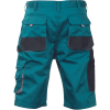 FF CARL BE-01-009 šortky (Varianta FF CARL BE-01-009 šortky royal/černá 64)