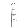 opěra na popínavé rostliny 200x40cm kov.ZE