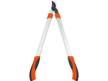 861185 b906091f d405 4c7a a4fb 503848b90fb2