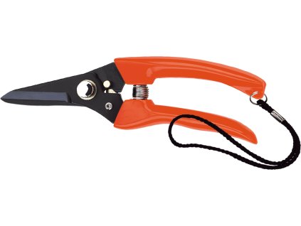 861275 53c2f93c ee45 4833 aab9 e219978712dd