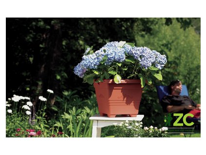 866363 0644bb4e a71d 42a0 b986 79aa5b364c4c