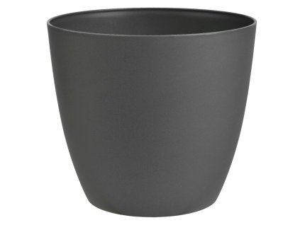 864071 81eefb99 82a5 4df1 9c97 198093c844de