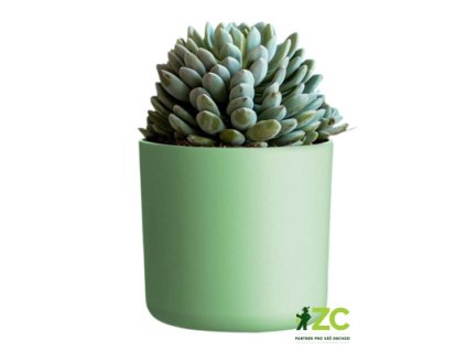 184611 obal lora pistaciova 14 cm