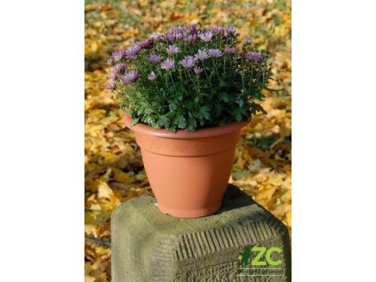172332 obal muskat terakota 35 cm