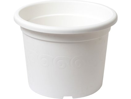 172371 obal narcis bily 28 cm