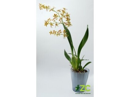 866540 d380b797 e3a6 4adc b867 b97ce670195a