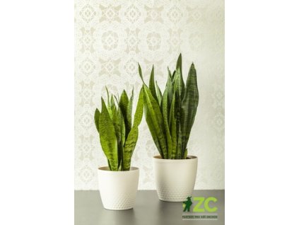 172524 obal perla perletova 30 cm