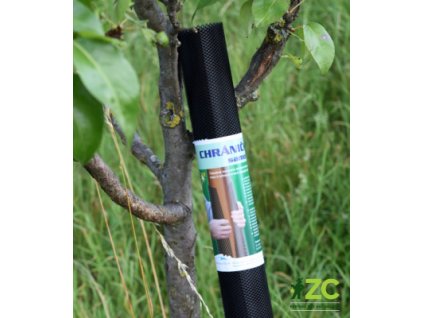 863186 32dab33a 5e84 4921 b5a6 3df666b4f3a0