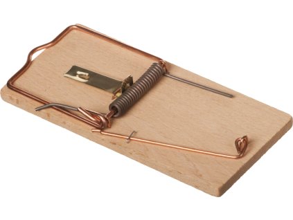 862445 9b06defc f6fd 4927 ba23 ce09b08bba6b