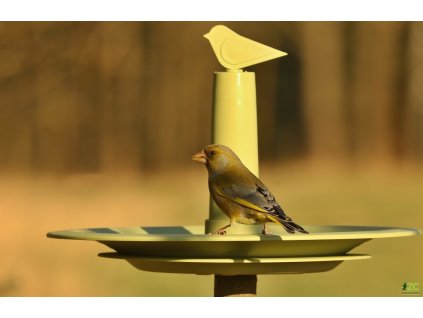 859661 2103369e 83f3 4649 9155 51ad9e3caf9d