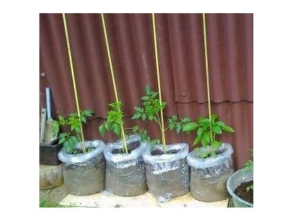 862943 57daf7d3 bbd1 4490 a359 80a3669b3f8f