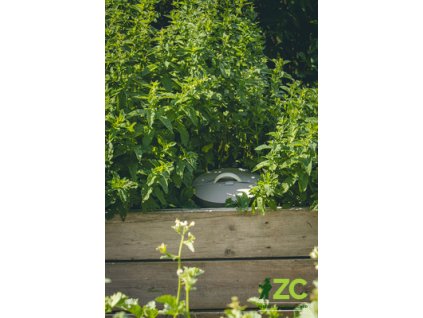 866924 d97c2cda be10 4ed4 aaa9 80140b8429a4