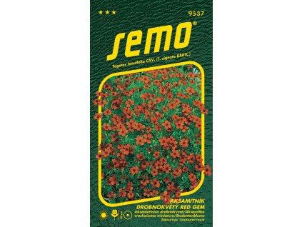 872789 185c23f8 1de3 4054 94ce 6344ac4b77d0