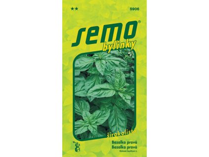 166911 bazalka prava dark green 1g