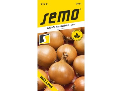 164802 cibule jarni wellina zluta 2g