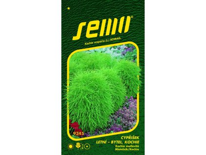 872951 8ed48e2a efe7 492c 9431 0d3e3908755c