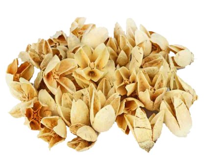 868760 42ada383 5064 41c1 a976 fcb367a67402