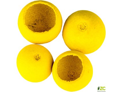 868889 2bcc4150 ec76 41ea 881e 447bc564989b