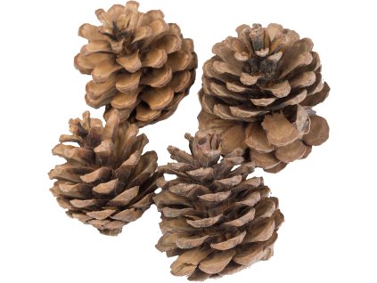 188100 dekorace blue pine 4 ks