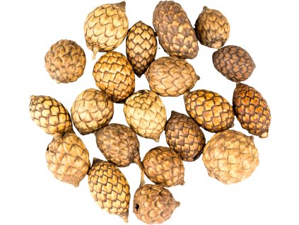 868916 f49a453a 013f 43db abf7 8150002b9e37