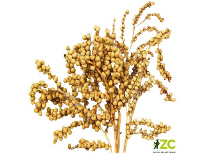 868925 7bdb1561 9fc0 4181 a6d1 a73a5fb6495b