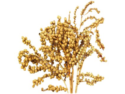188109 dekorace canella cobs prirodni min 30 g