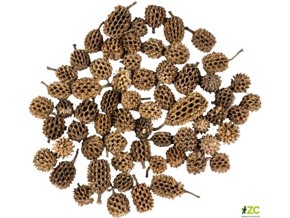 868928 74d4d785 fbbe 4424 8b63 70e0a8ec1c7e