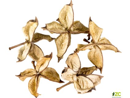 868940 8dc20619 a304 4b06 8ac1 983f5ac4a2f0