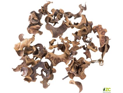 868946 decf538a e7be 4af7 b67d 5ad7be96427b