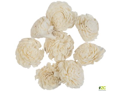 869129 8d5471ef 5696 427c 85d1 a5669ee3aa6a