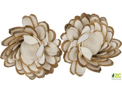 869141 1ecb202c 188e 4f02 9300 c1d5ef3c1f99