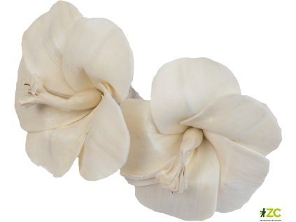 869144 d5c57795 b744 41b6 9775 91a58b4ed441