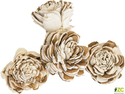 869150 cc244ef7 bdb9 4bc2 b330 0ebb71b8027a