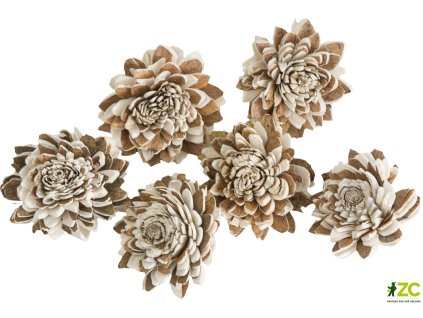 869156 9f0dee96 f9d7 4b4f bb20 d562812ab4da